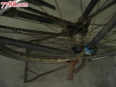 大金鹿自行車(chē) 800元零售價(jià)背后的收藏與實(shí)用價(jià)值
